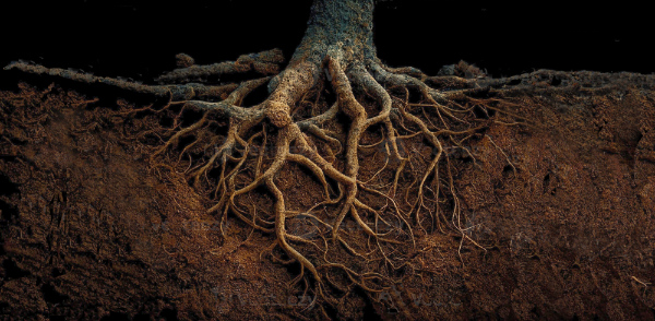 Voor iedereen zijn eigen weg