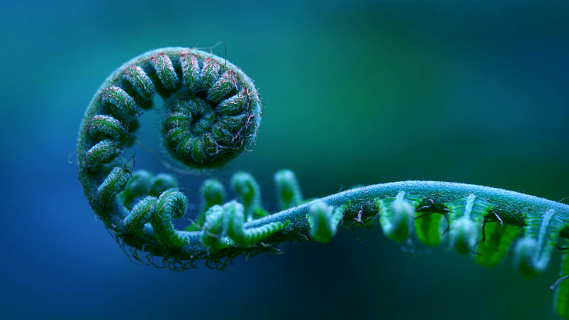 De wortels van B of Joy co-op